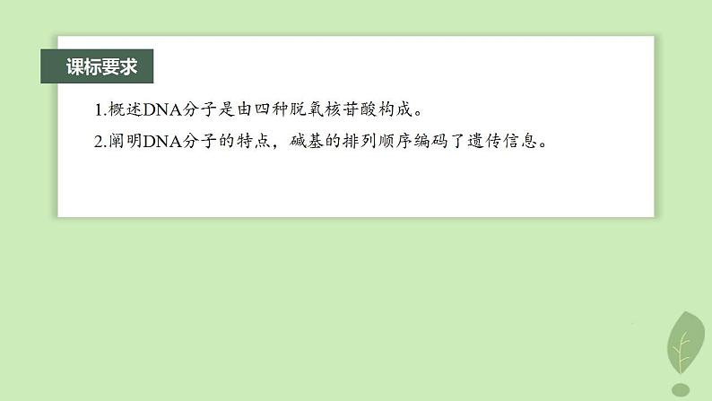 2024届高考生物一轮复习第六单元遗传的分子基础第2课时DNA分子的结构课件(苏教版)第2页