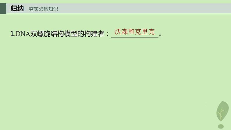 2024届高考生物一轮复习第六单元遗传的分子基础第2课时DNA分子的结构课件(苏教版)第3页