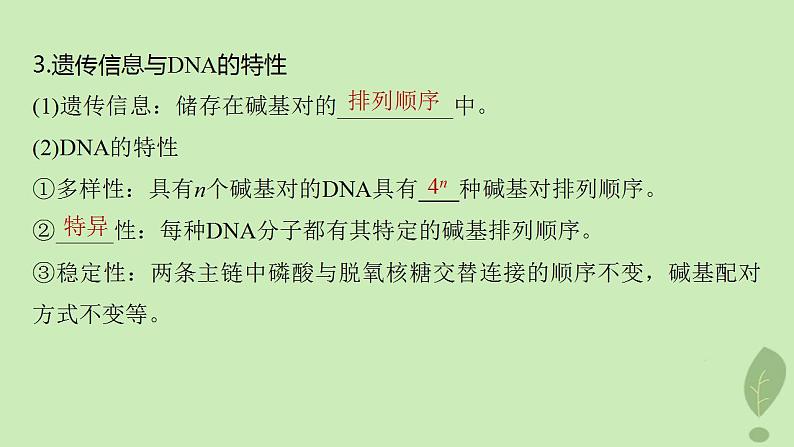 2024届高考生物一轮复习第六单元遗传的分子基础第2课时DNA分子的结构课件(苏教版)第6页