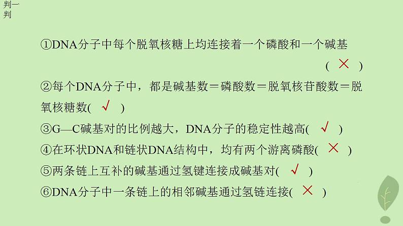 2024届高考生物一轮复习第六单元遗传的分子基础第2课时DNA分子的结构课件(苏教版)第7页