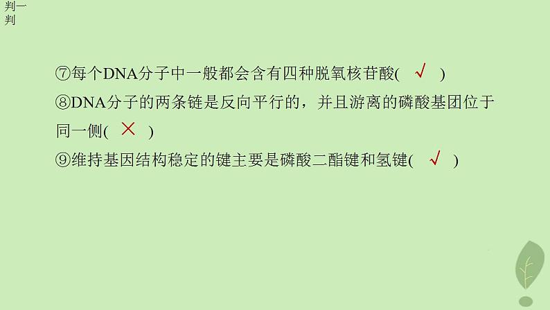 2024届高考生物一轮复习第六单元遗传的分子基础第2课时DNA分子的结构课件(苏教版)第8页
