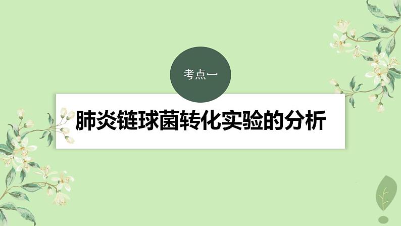 2024届高考生物一轮复习第六单元遗传的分子基础第1课时DNA是主要的遗传物质课件(苏教版)03