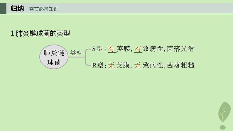 2024届高考生物一轮复习第六单元遗传的分子基础第1课时DNA是主要的遗传物质课件(苏教版)04