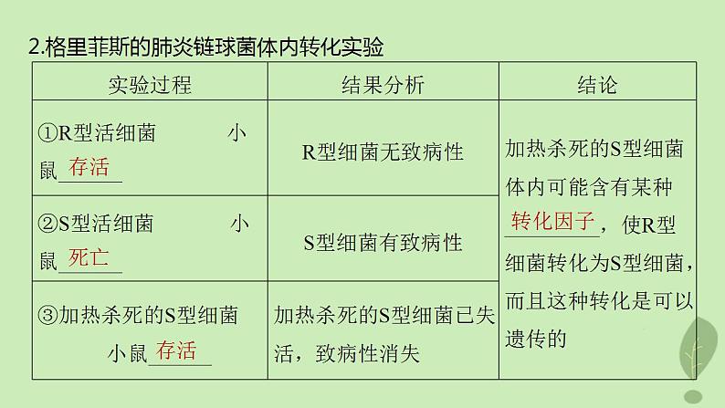 2024届高考生物一轮复习第六单元遗传的分子基础第1课时DNA是主要的遗传物质课件(苏教版)05