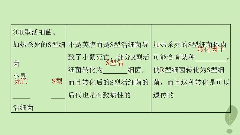 2024届高考生物一轮复习第六单元遗传的分子基础第1课时DNA是主要的遗传物质课件(苏教版)06
