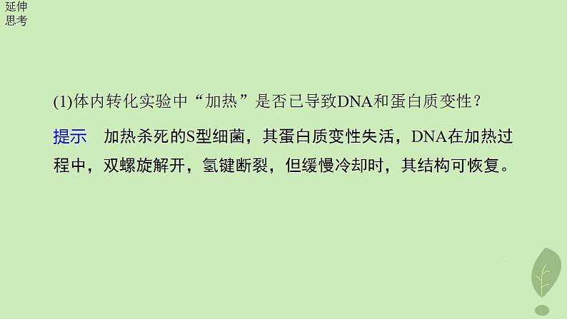2024届高考生物一轮复习第六单元遗传的分子基础第1课时DNA是主要的遗传物质课件(苏教版)07