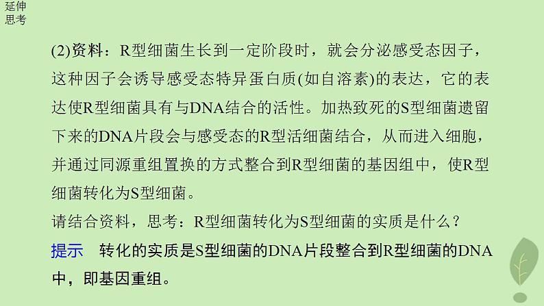 2024届高考生物一轮复习第六单元遗传的分子基础第1课时DNA是主要的遗传物质课件(苏教版)08