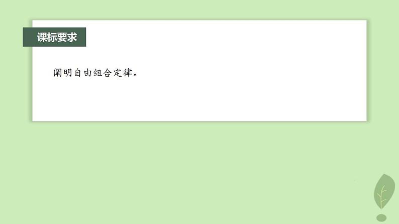 2024届高考生物一轮复习第五单元基因的传递规律第3课时自由组合定律课件(苏教版)第2页