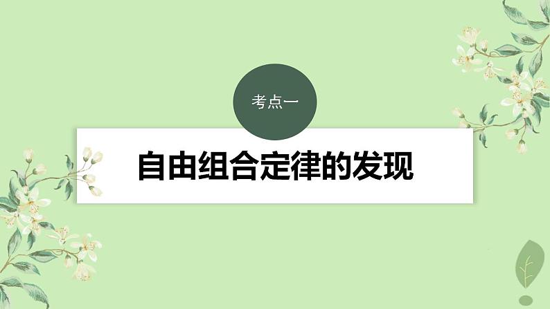 2024届高考生物一轮复习第五单元基因的传递规律第3课时自由组合定律课件(苏教版)第3页