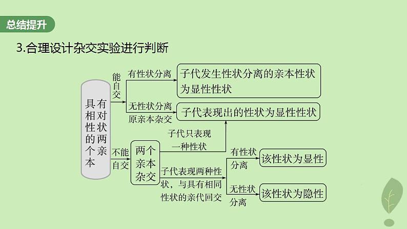2024届高考生物一轮复习第五单元基因的传递规律第2课时分离定律重点题型突破课件(苏教版)06