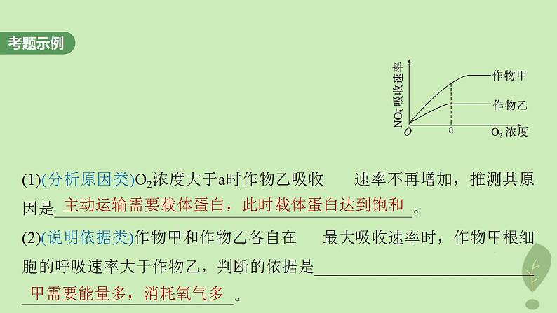 2024届高考生物一轮复习第三单元细胞的能量供应和利用长句表达二细胞代谢中的原因分析课件(苏教版)03
