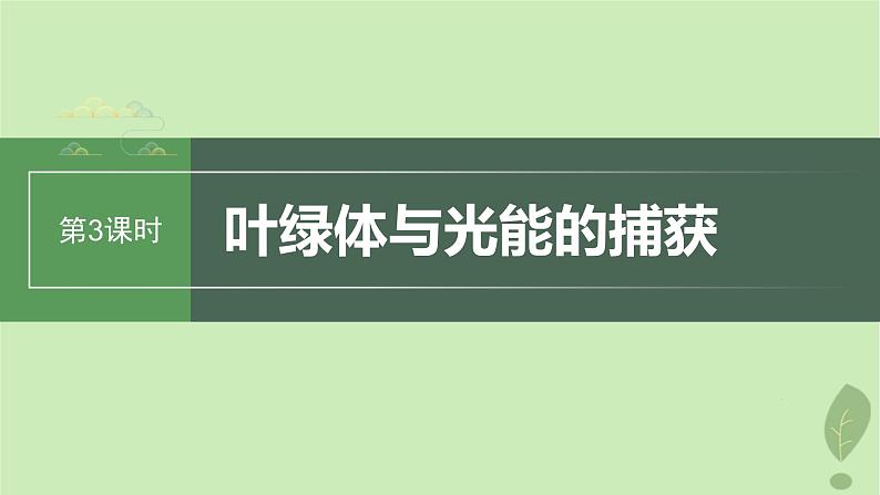 2024届高考生物一轮复习第三单元细胞的能量供应和利用第3课时叶绿体与光能的捕获课件(苏教版)第1页