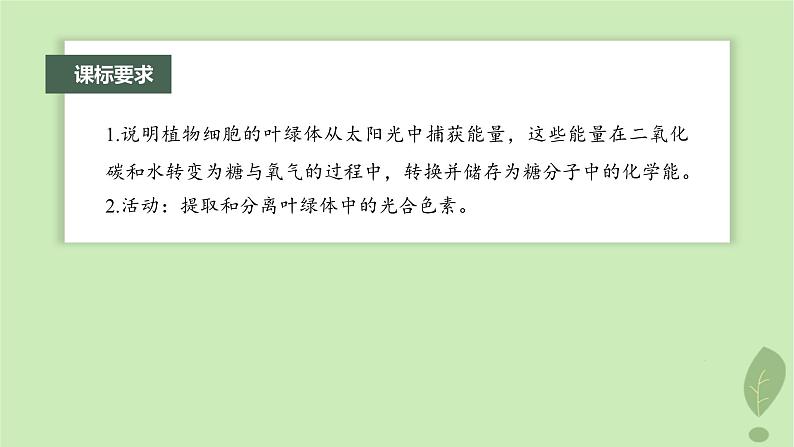 2024届高考生物一轮复习第三单元细胞的能量供应和利用第3课时叶绿体与光能的捕获课件(苏教版)第2页