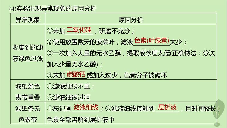2024届高考生物一轮复习第三单元细胞的能量供应和利用第3课时叶绿体与光能的捕获课件(苏教版)第6页