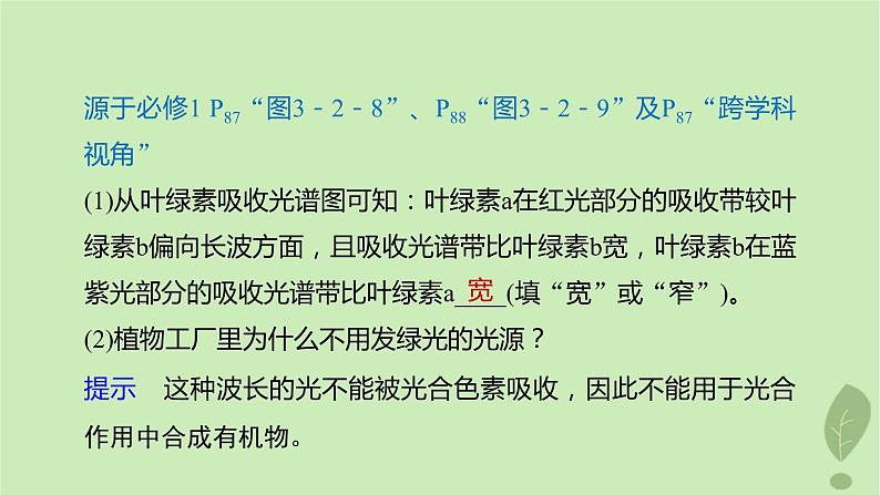 2024届高考生物一轮复习第三单元细胞的能量供应和利用第3课时叶绿体与光能的捕获课件(苏教版)第8页