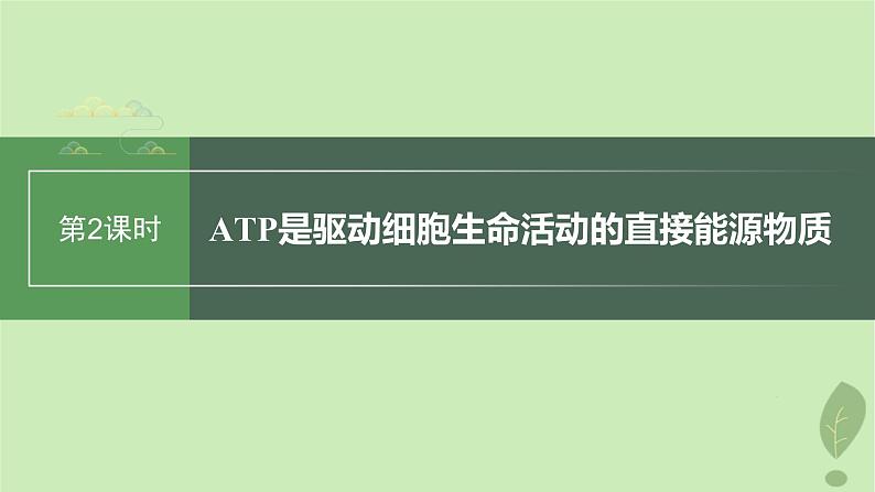 2024届高考生物一轮复习第三单元细胞的能量供应和利用第2课时ATP是驱动细胞生命活动的直接能源物质课件(苏教版)01