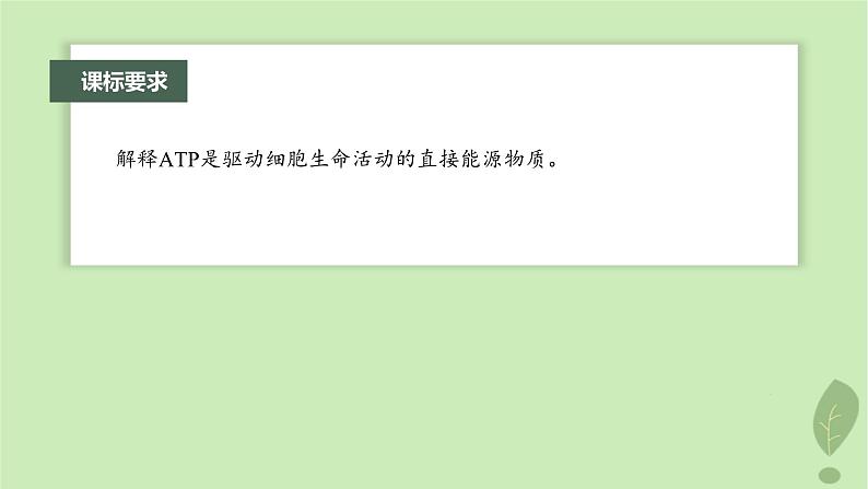2024届高考生物一轮复习第三单元细胞的能量供应和利用第2课时ATP是驱动细胞生命活动的直接能源物质课件(苏教版)02
