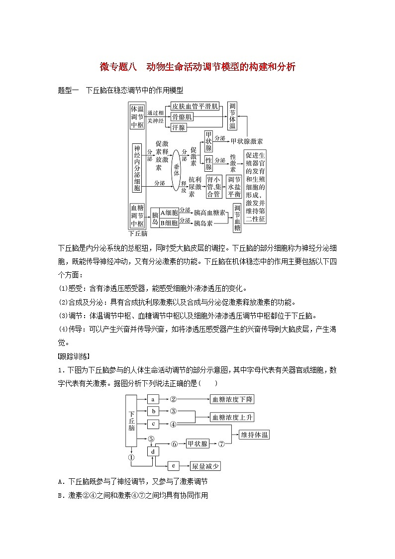 2024届高考生物一轮复习教案第八单元生命活动的调节微专题八动物生命活动调节模型的构建和分析(苏教版)第1页