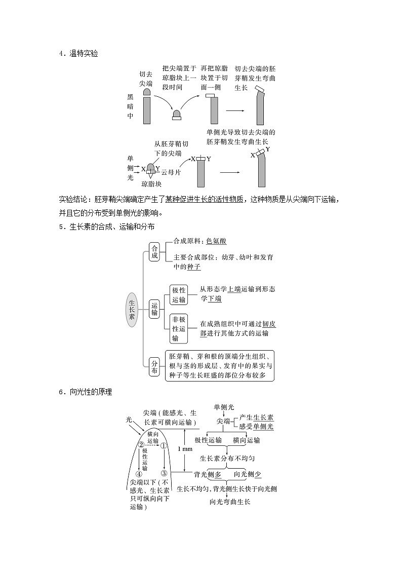 2024届高考生物一轮复习教案第八单元生命活动的调节第8课时植物生长素(苏教版)第2页