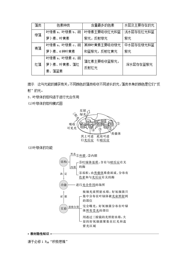 2024届高考生物一轮复习教案第三单元细胞的能量供应和利用第3课时叶绿体与光能的捕获(苏教版)03
