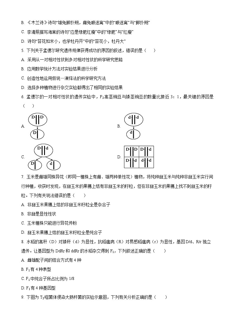 广东省惠州市2023-2024学年高一下学期期末考试生物试题(Word版附解析)02