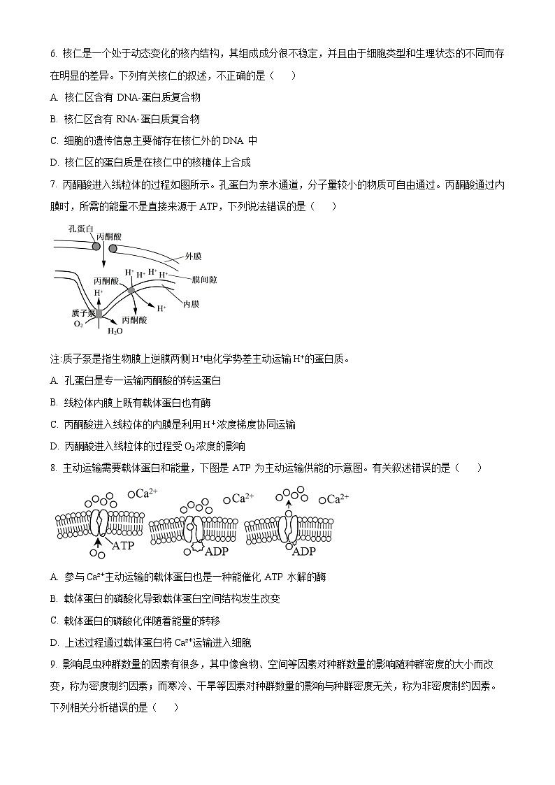 2024许昌高二下学期7月期末考试生物含解析第3页