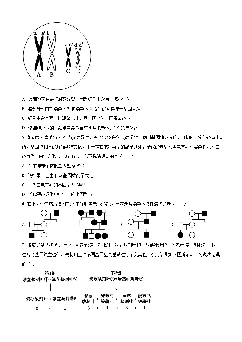 2024枣庄高一下学期7月期末考试生物含解析02