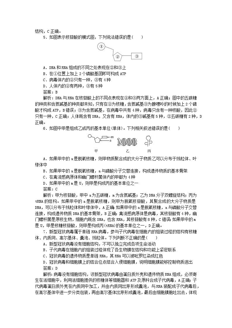 2025版高考生物一轮复习微专题小练习专练7核酸是遗传信息的携带者02