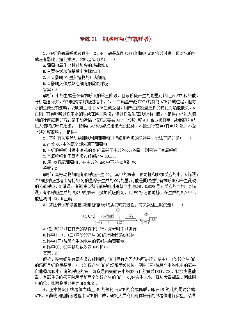 2025版高考生物一轮复习微专题小练习专练21细胞呼吸有氧呼吸01