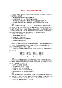 2025版高考生物一轮复习微专题小练习专练25捕获光能的色素和结构
