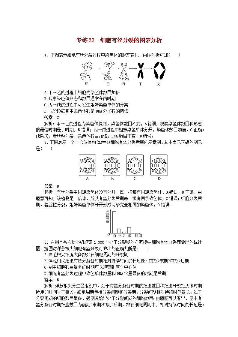 2025版高考生物一轮复习微专题小练习专练32细胞有丝分裂的图表分析01