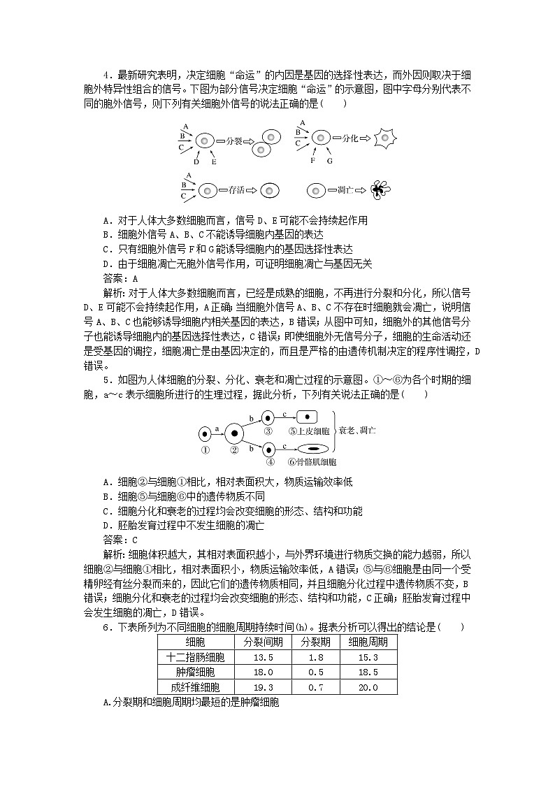 2025版高考生物一轮复习微专题小练习专练35细胞的生命历程综合练02