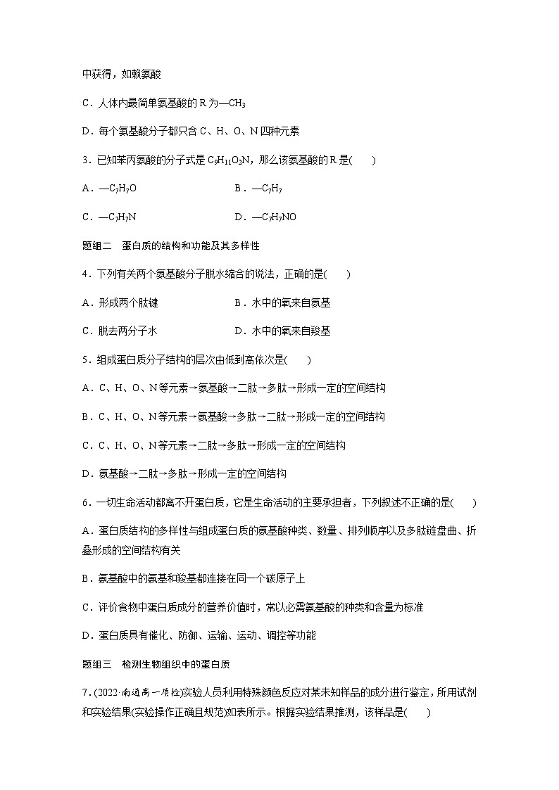 第1章 第3节 第1课时 细胞的功能主要由蛋白质完成 课时练(含答案)高中生物必修1(苏教版2019)02