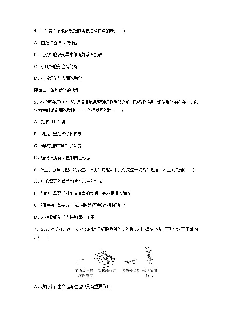 第2章 第2節(jié) 第1課時(shí)　細(xì)胞質(zhì)膜將細(xì)胞與外界環(huán)境分開  課時(shí)練（含答案）高中生物必修1（蘇教版2019）第2頁