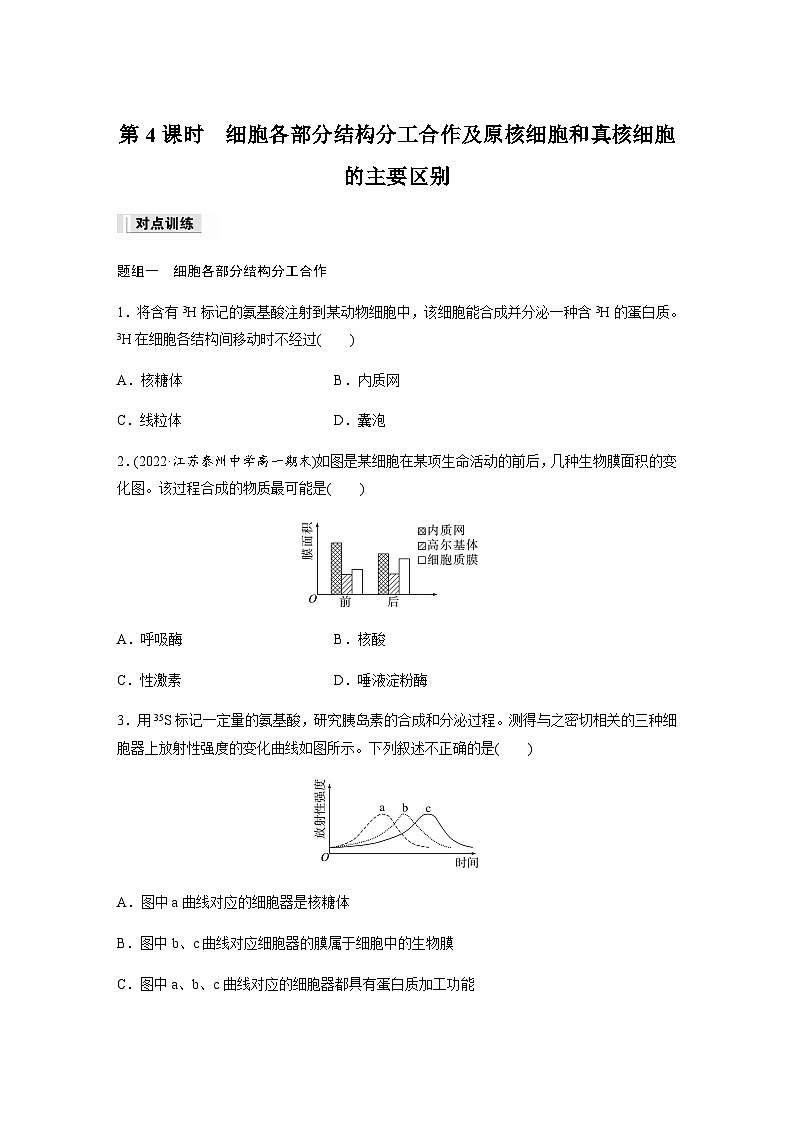 第2章 第2节 第4课时 细胞各部分结构分工合作及原核细胞和真核细胞的主要区别 课时练(含答案)高中生物必修1(苏教版2019)第1页
