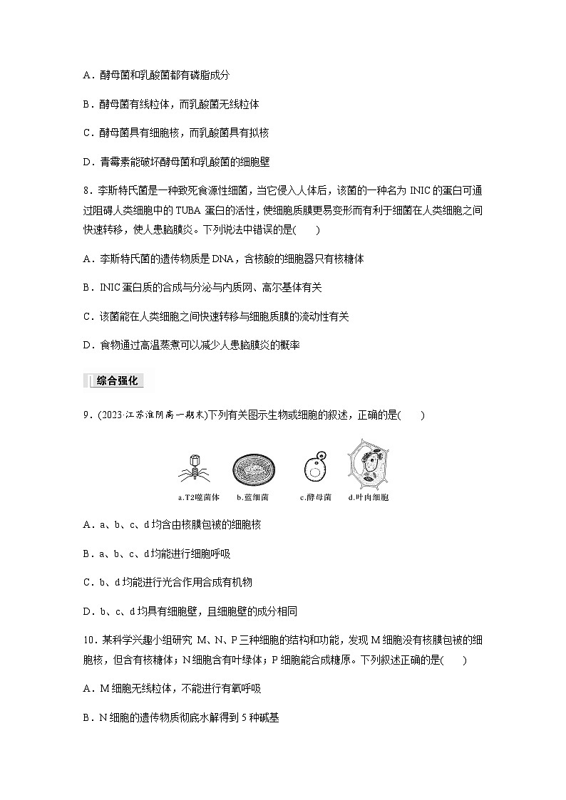 第2章 第2节 第4课时 细胞各部分结构分工合作及原核细胞和真核细胞的主要区别 课时练(含答案)高中生物必修1(苏教版2019)第3页