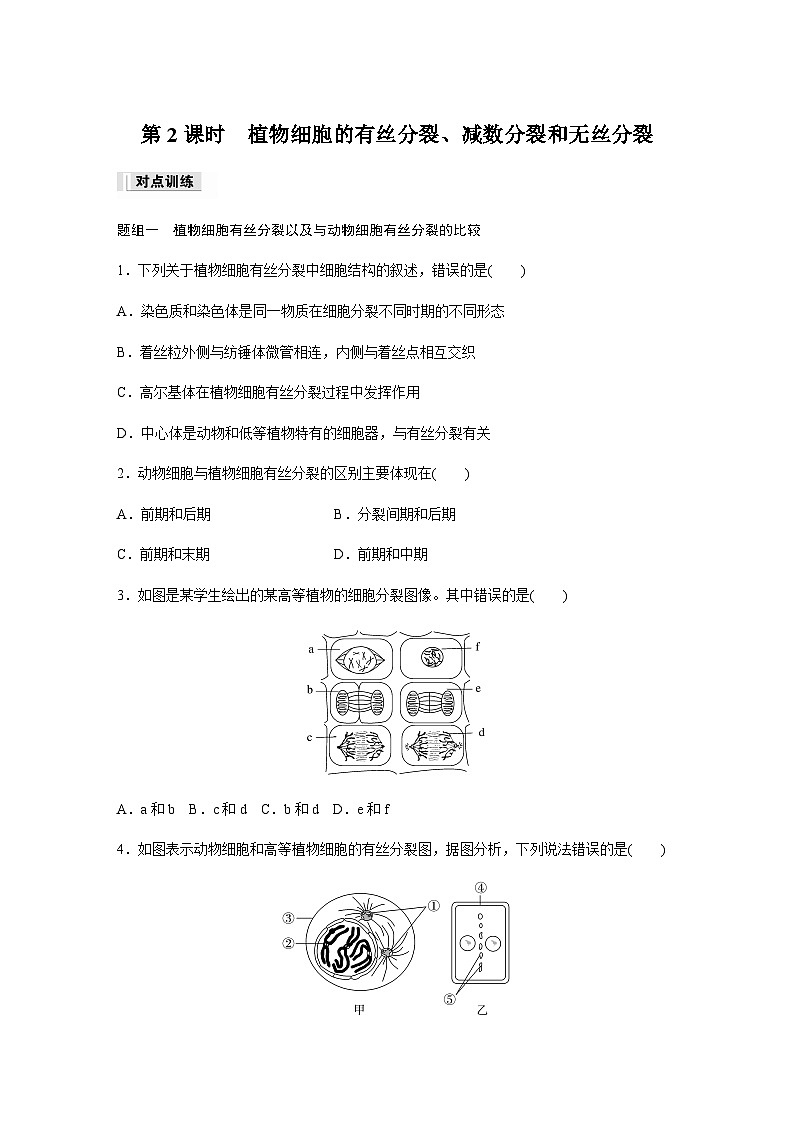 第4章 第1节 第2课时 植物细胞的有丝分裂、减数分裂和无丝分裂 课时练(含答案)高中生物必修1(苏教版2019)01
