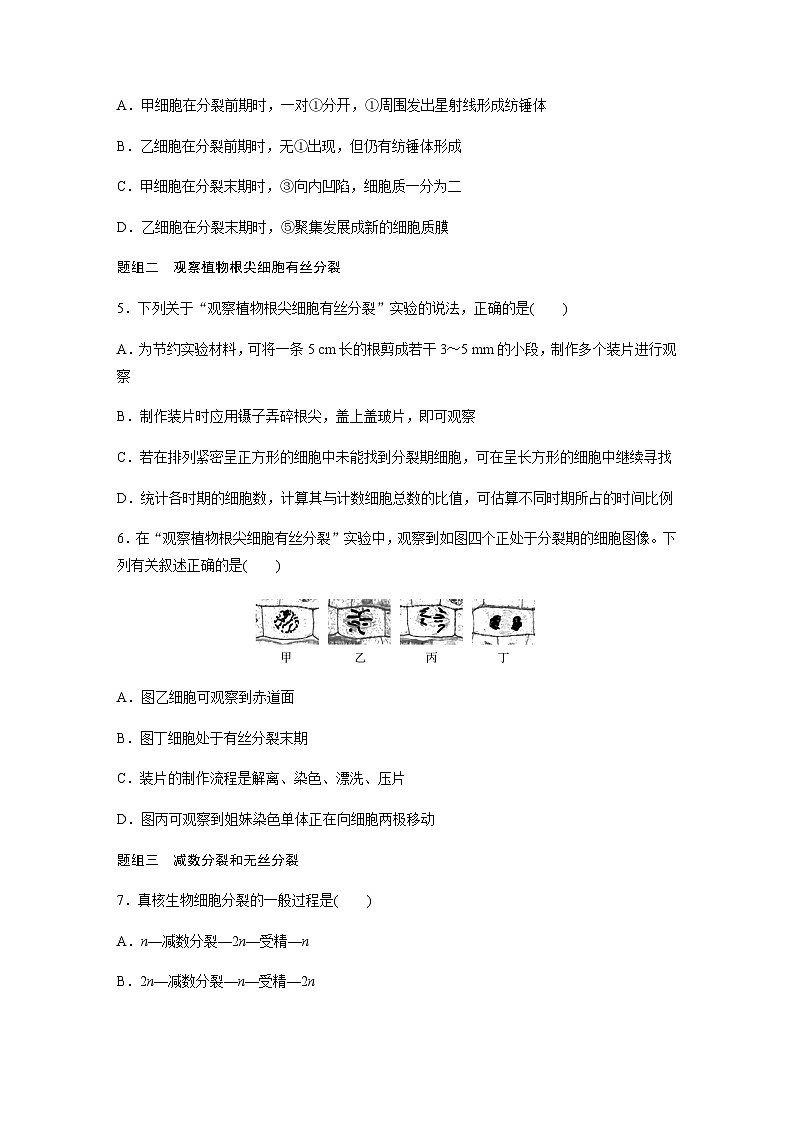 第4章 第1节 第2课时 植物细胞的有丝分裂、减数分裂和无丝分裂 课时练(含答案)高中生物必修1(苏教版2019)02