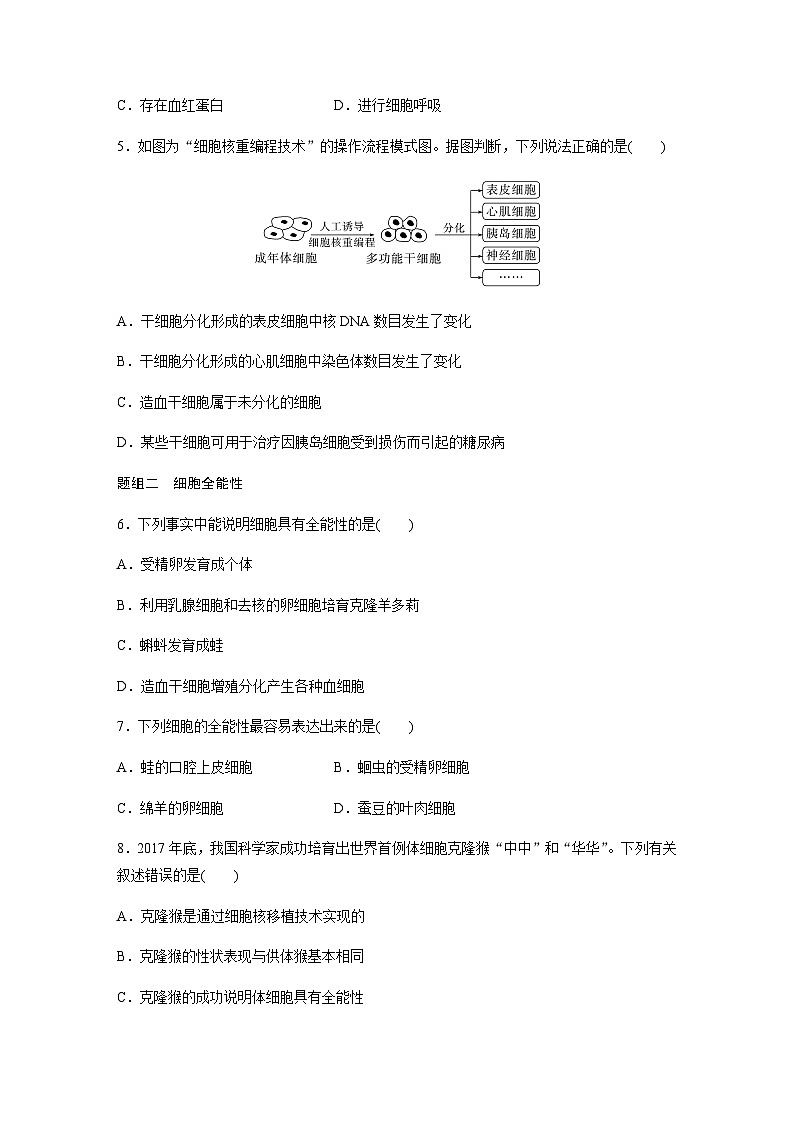 第4章 第2节 第1课时 细胞分化和细胞全能性 课时练(含答案)高中生物必修1(苏教版2019)第2页