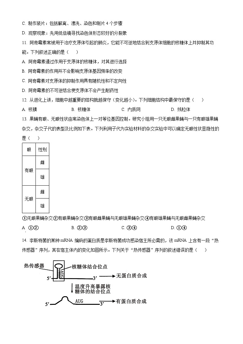廣東省汕尾市2023-2024學(xué)年高二下學(xué)期7月期末考試生物試題（Word版附解析）第3頁