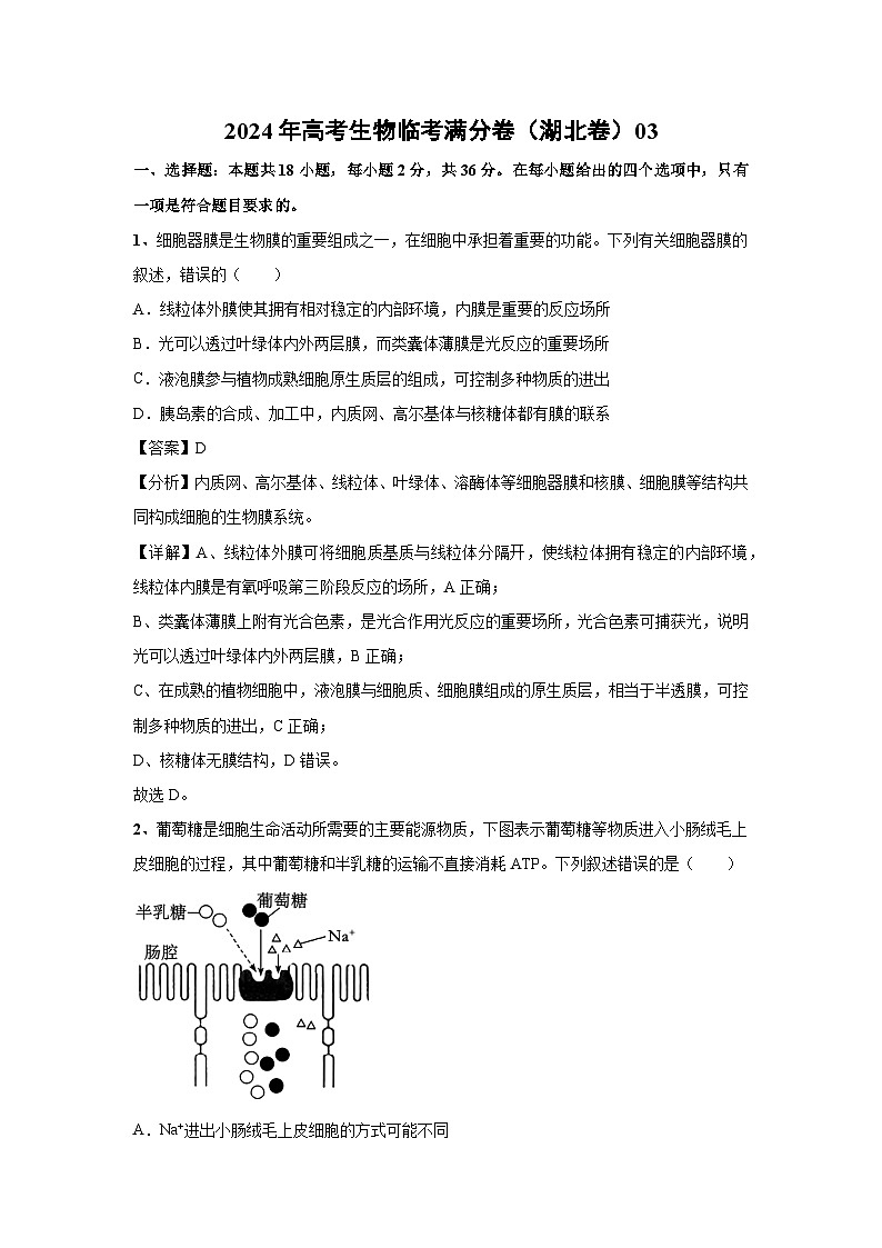 [生物]2024年高考生物臨考滿分模擬卷(湖北卷)03(解析版)第1頁
