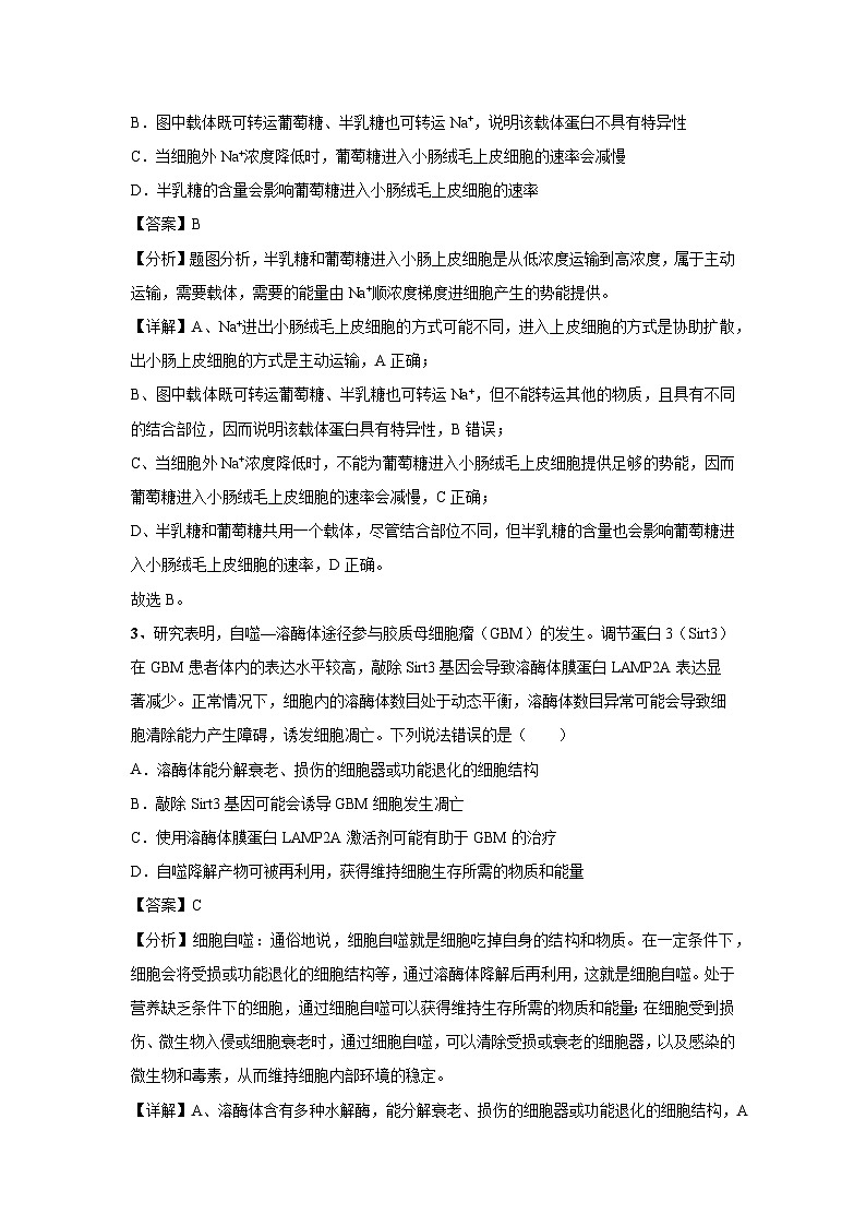 [生物]2024年高考生物臨考滿分模擬卷(湖北卷)03(解析版)第2頁