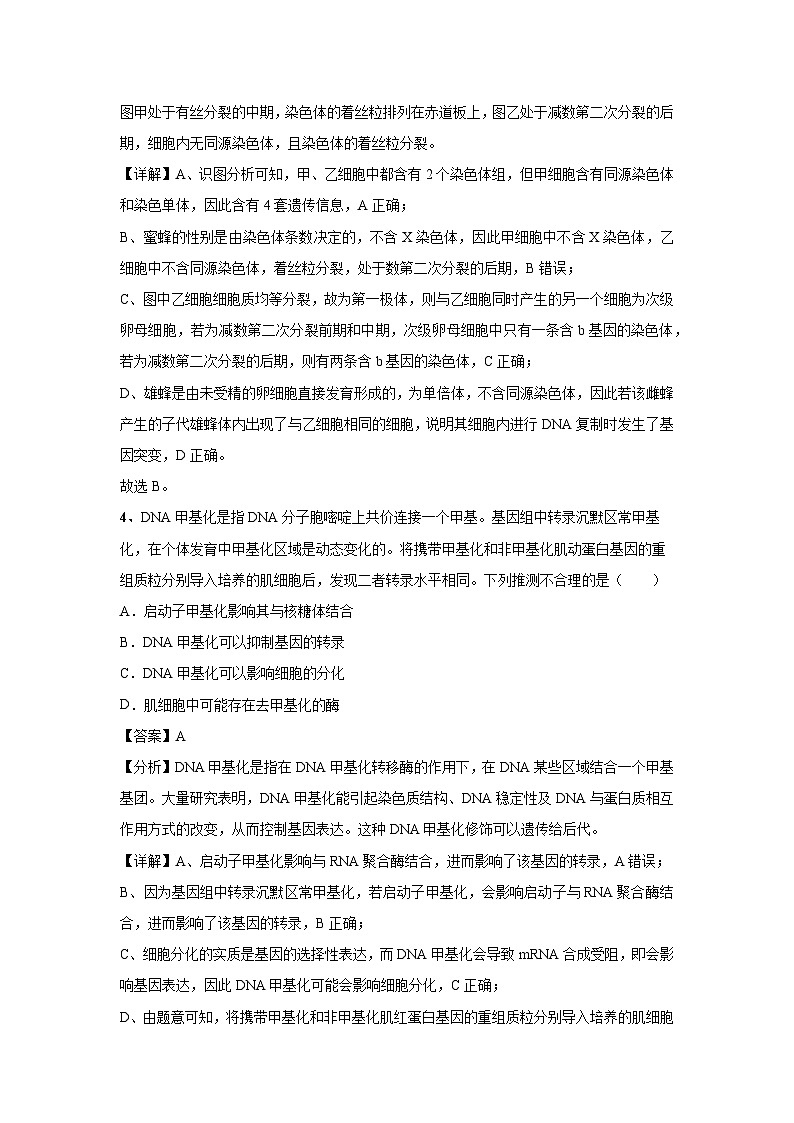 [生物]2024年高考生物臨考滿分模擬卷(天津卷)03(解析版)第3頁(yè)