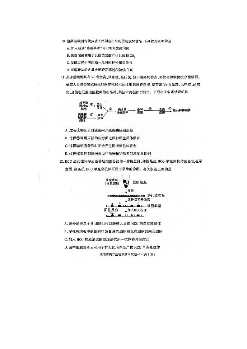 2024咸阳高二下学期7月期末考试生物PDF版含答案第3页