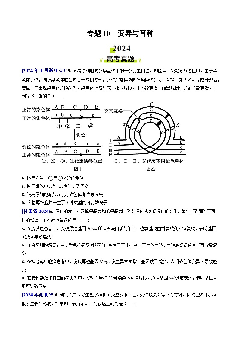 专题10 变异与育种-2024年高考真题和模拟题生物分类汇编(学生卷)第1页