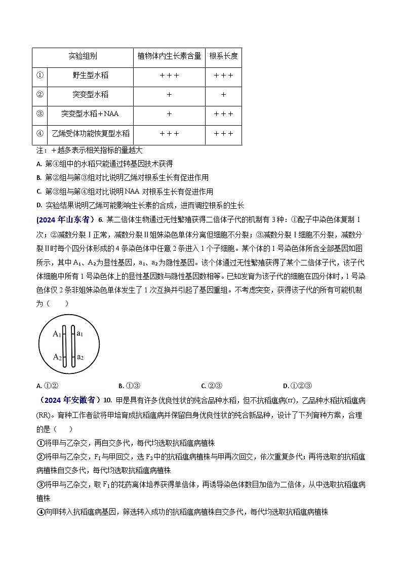 专题10 变异与育种-2024年高考真题和模拟题生物分类汇编(学生卷)第2页