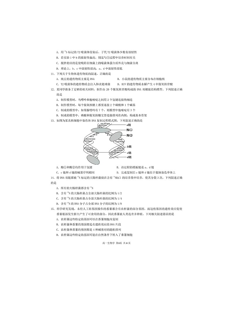 新疆维吾尔自治区乌鲁木齐市天山区新疆实验中学2023-2024学年高一下学期7月期末生物试题03