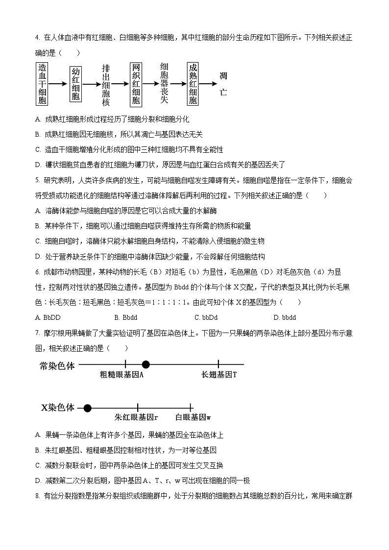 四川省广安市2023-2024学年高一下学期7月期末考试生物试卷(Word版附解析)第2页