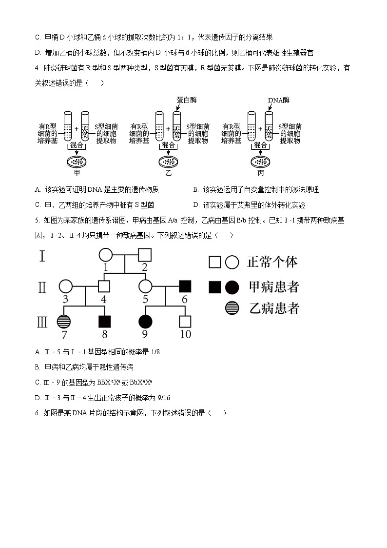 甘肃省酒泉市2023-2024学年高一下学期7月期末考试生物试卷(Word版附解析)第2页