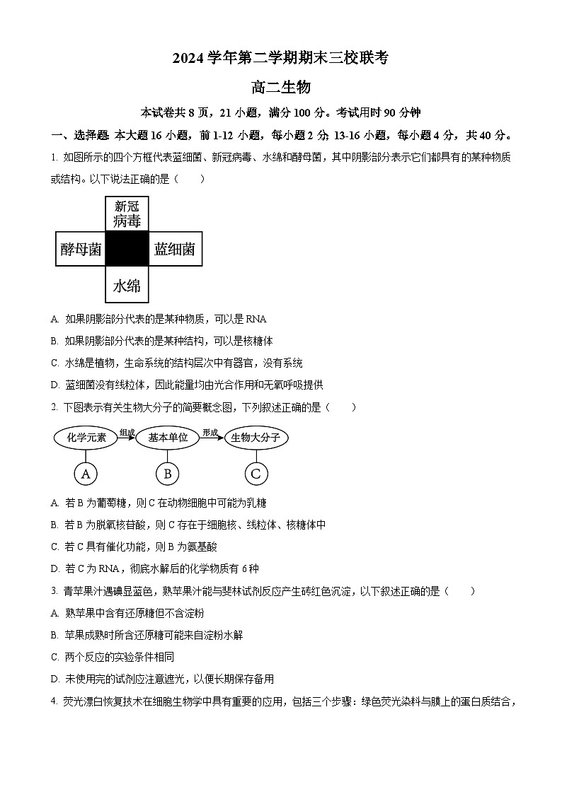 广东省广州市广铁一中、广州外国语学校、广州大学附属中学2023-2024学年高二下学期期末考试生物试题(Word版附解析)01